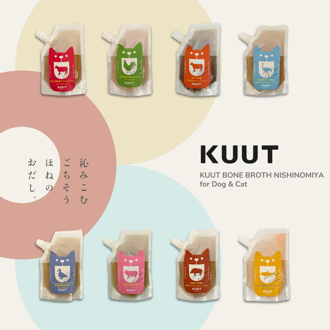 kuut_sp