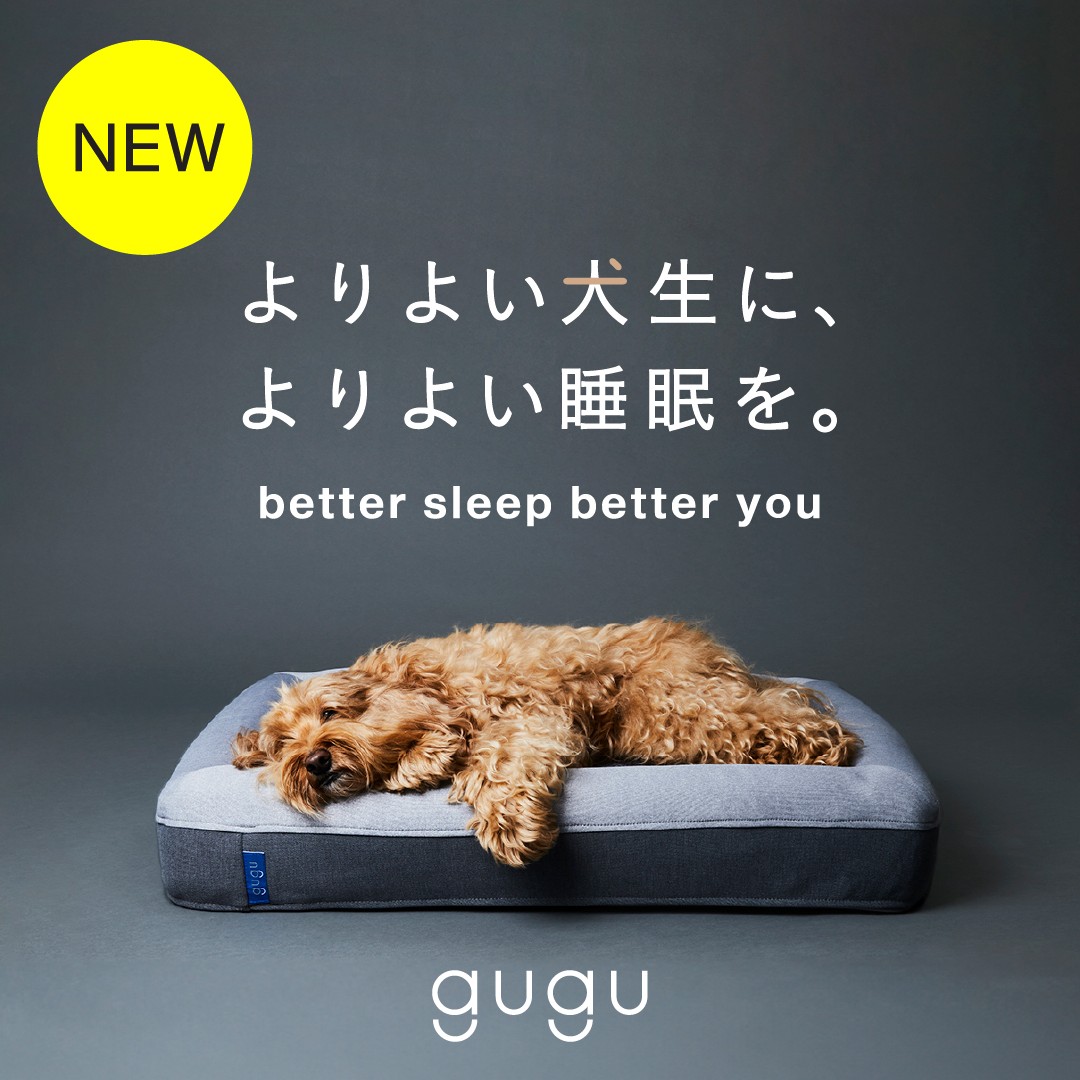 newgugu_sp