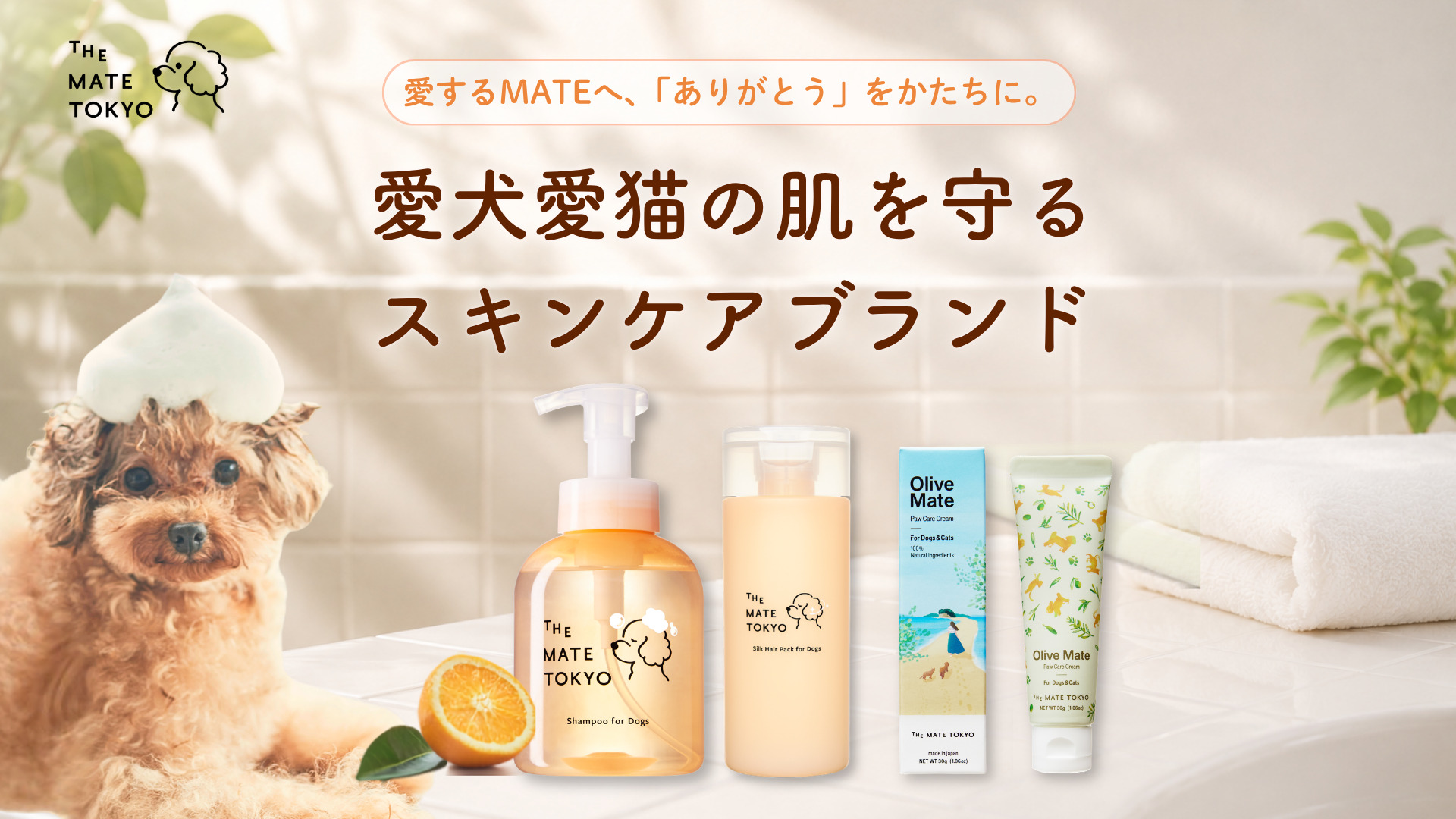 newtmtPC