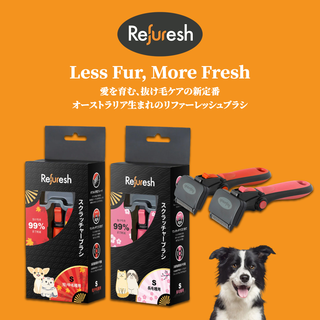 refuresh_sp