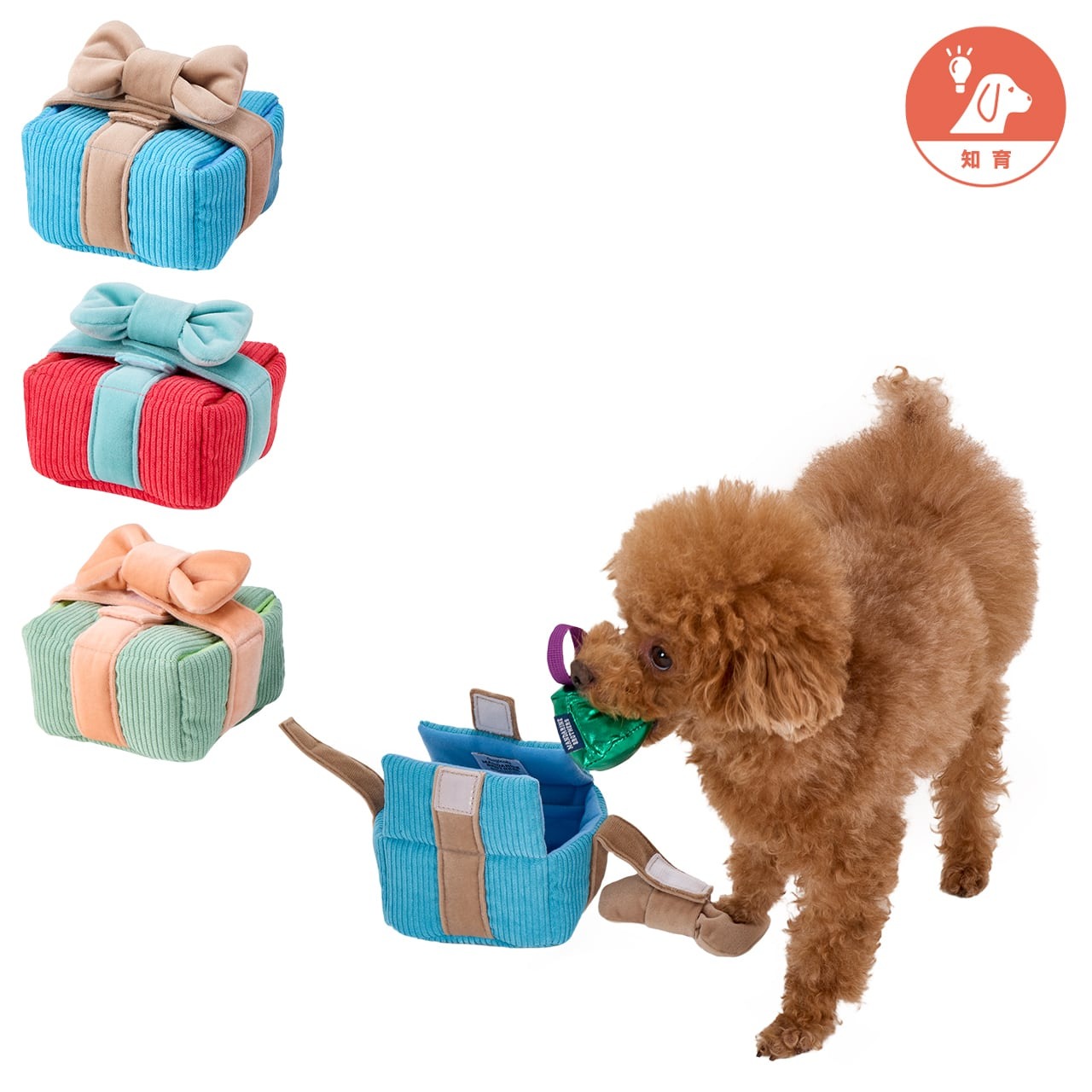 GIFT BOX TOY ギフトボックストイ