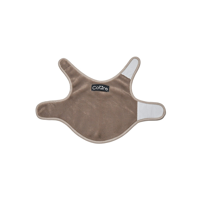 CoQre サプリメントファーウェア チャコール