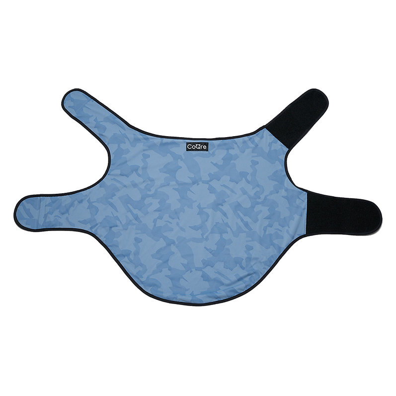 CoQre サプリメントウェア ブルー