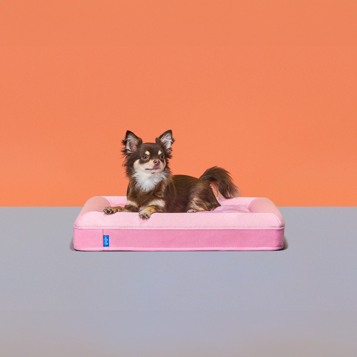gugu ドギー 犬用ベッド　ピンク