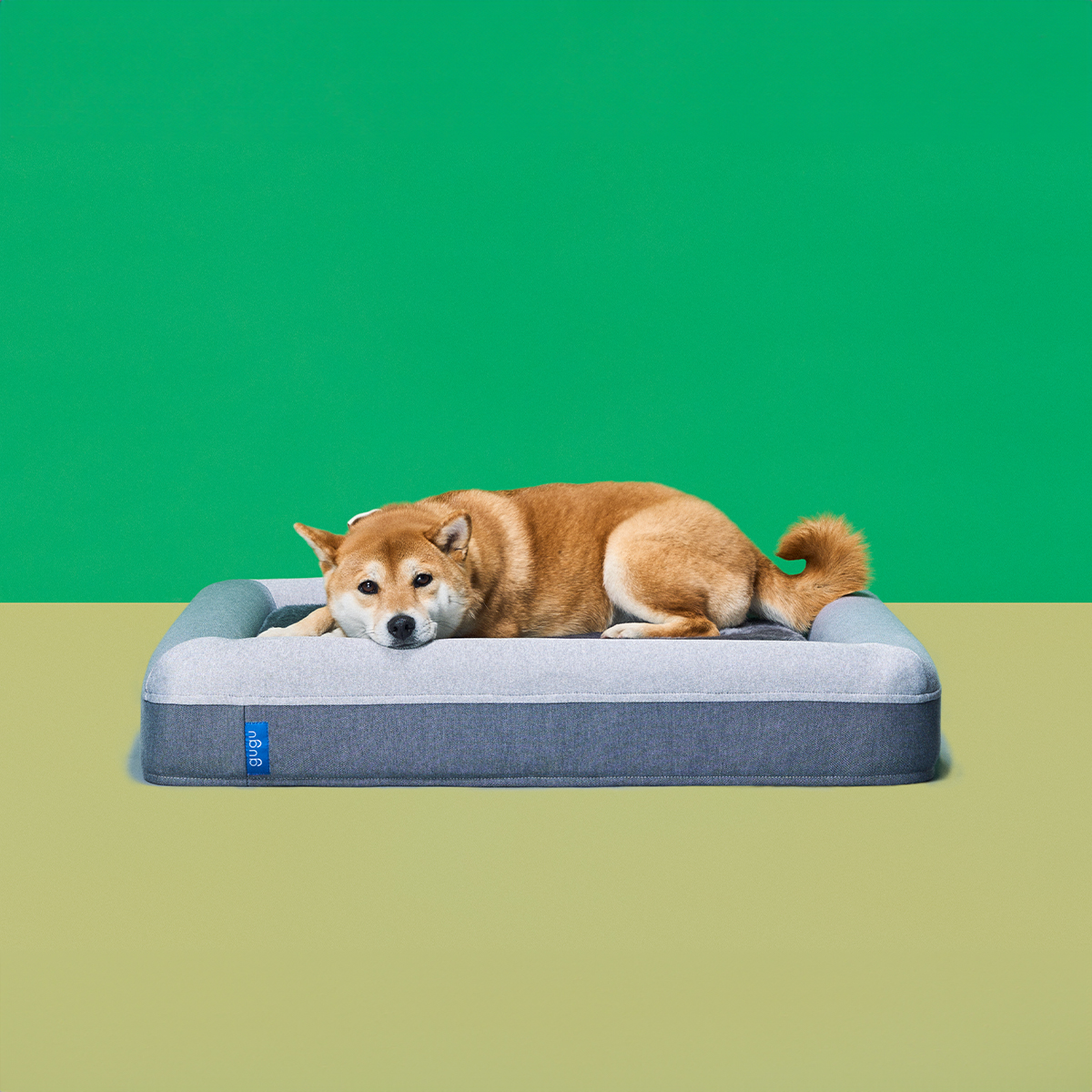 gugu ドギー 犬用ベッド　グレー