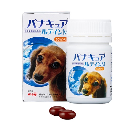 パナキュアルテインＭ