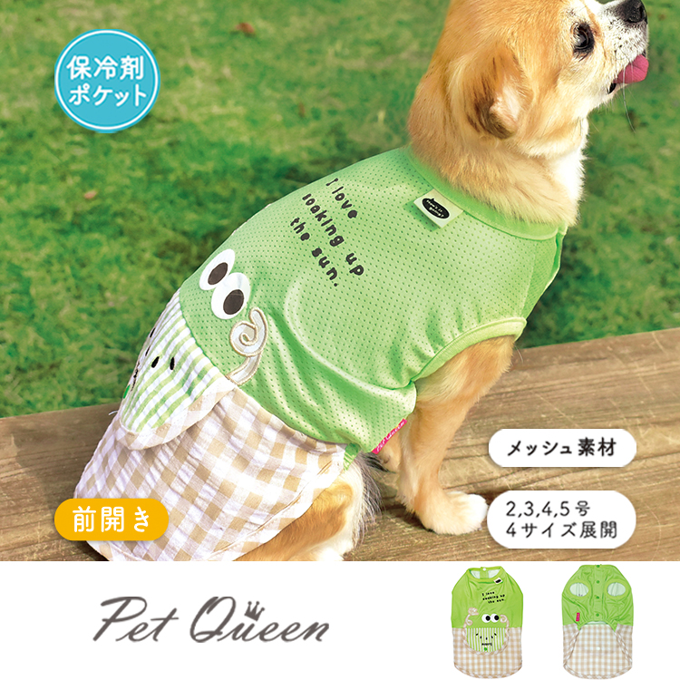 【2026年春夏新商品】キウイいいね