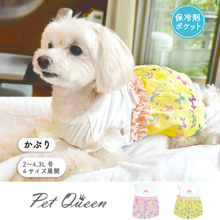 【2026年春夏新商品】チアフルバルーン