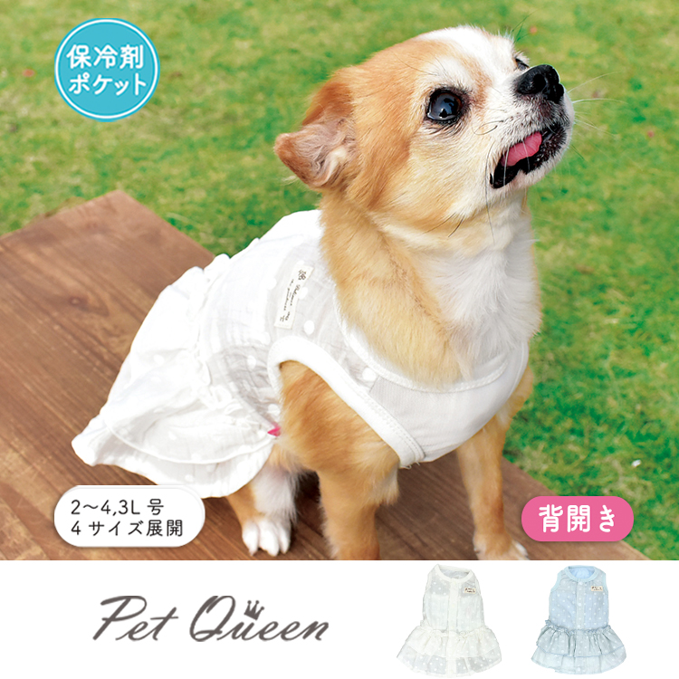 【2026年春夏新商品】フローズンポアン