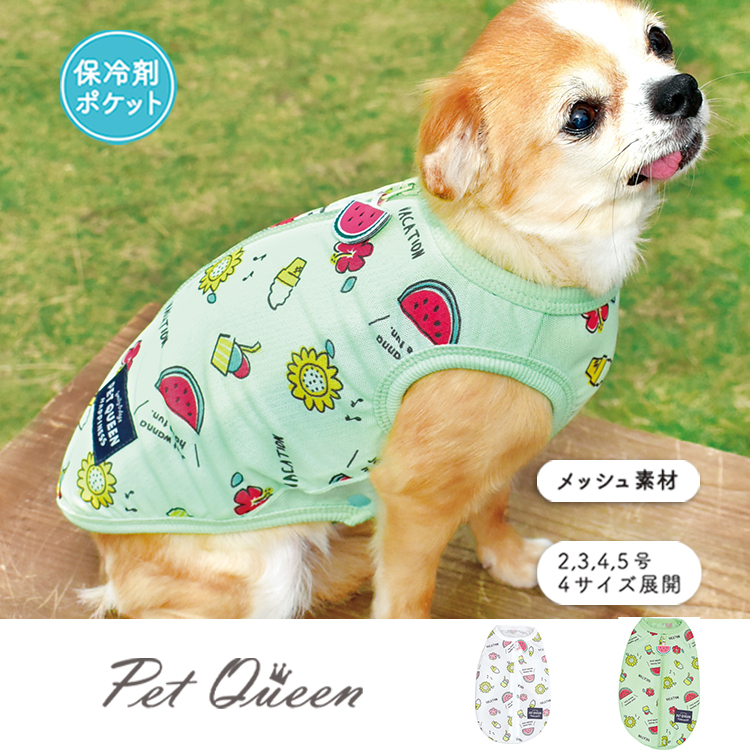 【2026年春夏新商品】エブリデイサマー