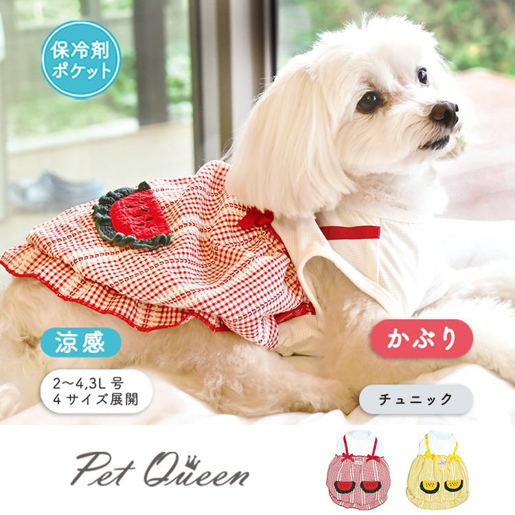 【2026年春夏新商品】スイカポッケチュニック