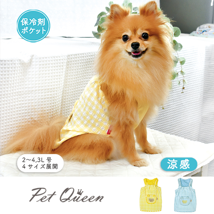 【2026年春夏新商品】クマミミチェック