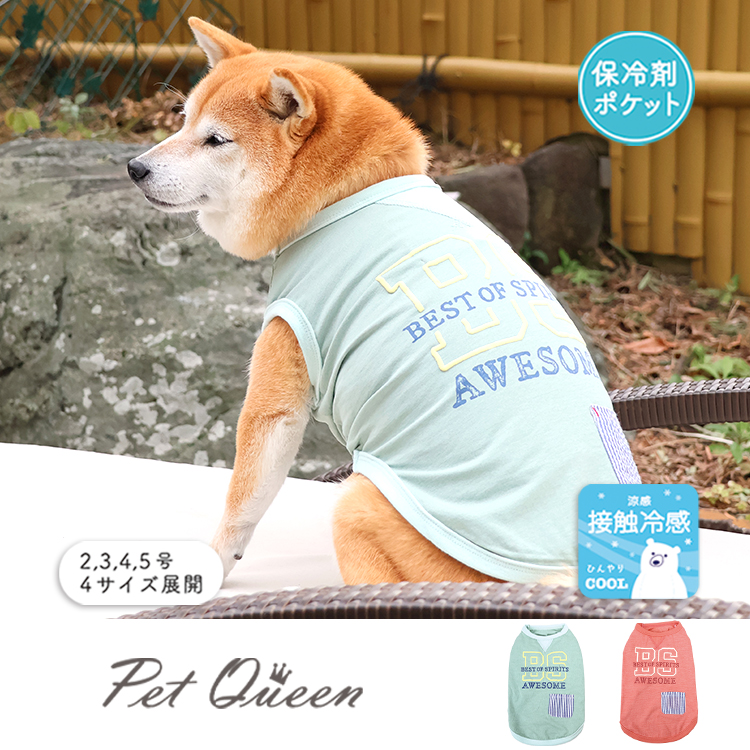 【2026年春夏新商品】ベストノースリ