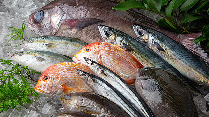 鮮魚