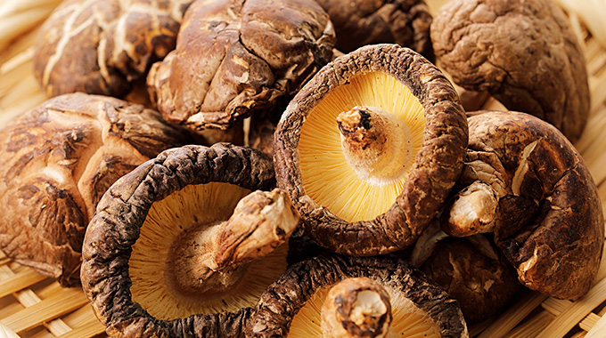 干し椎茸・乾燥きのこ