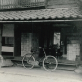 ダミーダミーダミーダミー