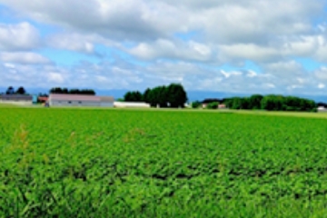 私たちはそんな「地域の視点」を取り入れながら、真空パックの販売にとどまらず、これまで培ってきた数多くの実績と豊富なノウハウを活かした様々な6次産業化の支援を行っています。