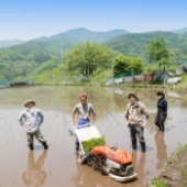 ダミーダミーダミーダミー