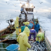 ダミーダミーダミーダミー