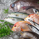 鮮魚