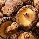 干し椎茸・乾燥きのこ