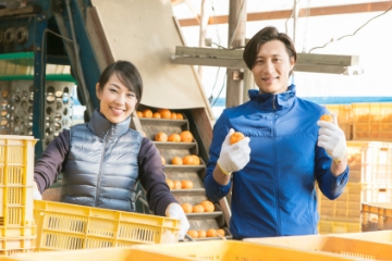 6次産業化支援とは