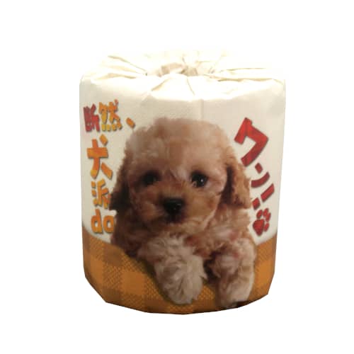 断然、犬派daワン！ 1ロール