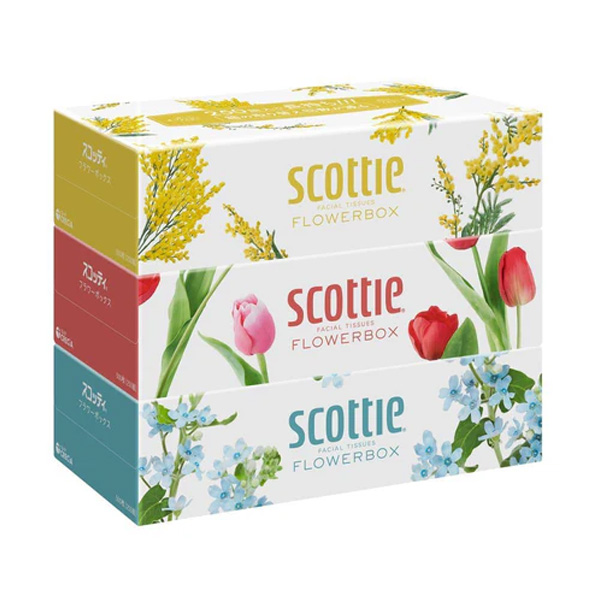 スコッティフラワーボックス 250W×3P