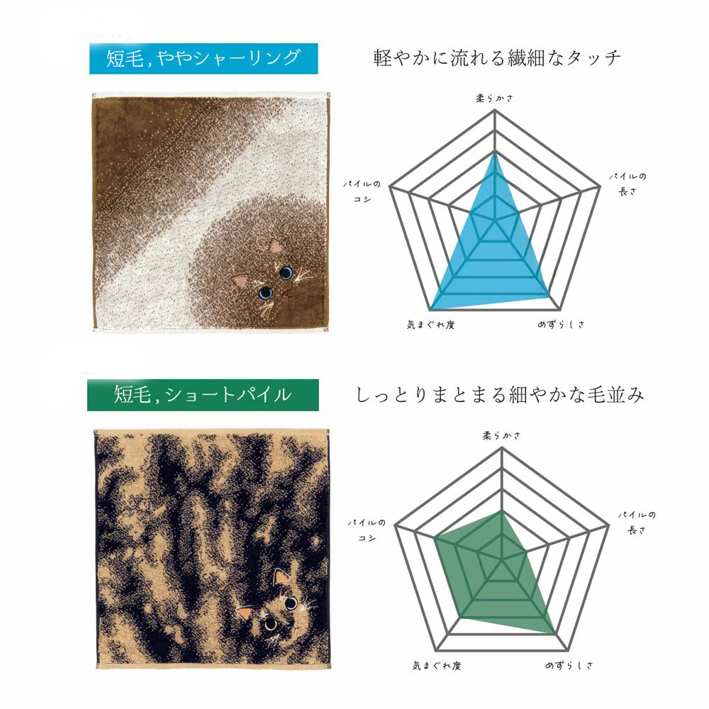 うちの子メイト にゃんこシリーズ今治毛並みタオルハンカチ 毛並み5