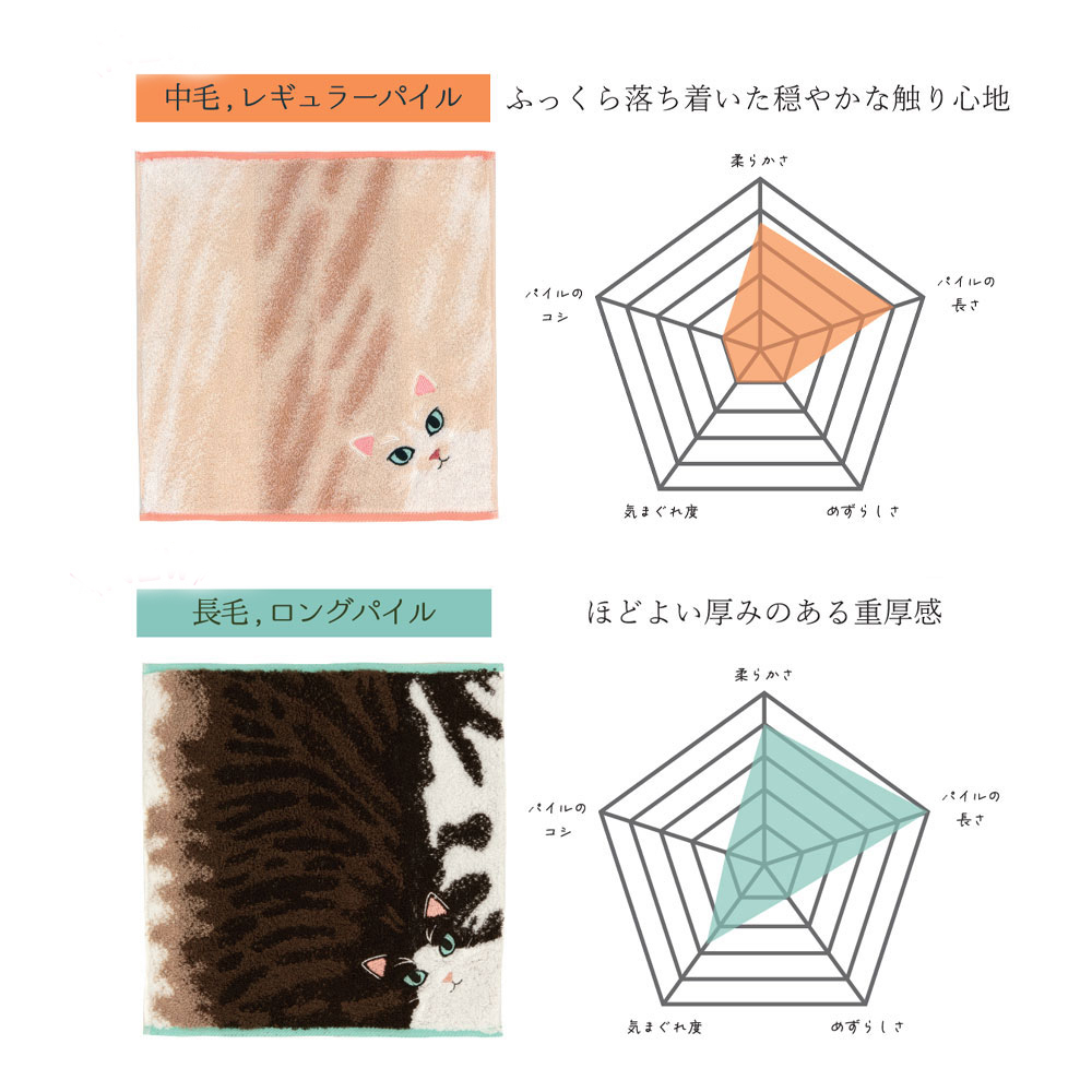 うちの子メイト にゃんこシリーズ今治毛並みタオルハンカチ 毛並み6