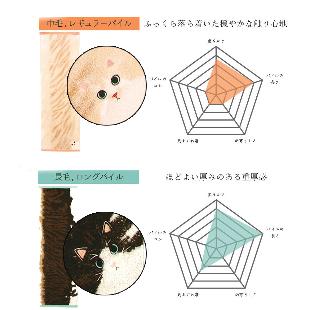 うちの子メイト にゃんこシリーズ今治毛並みフェイスタオル