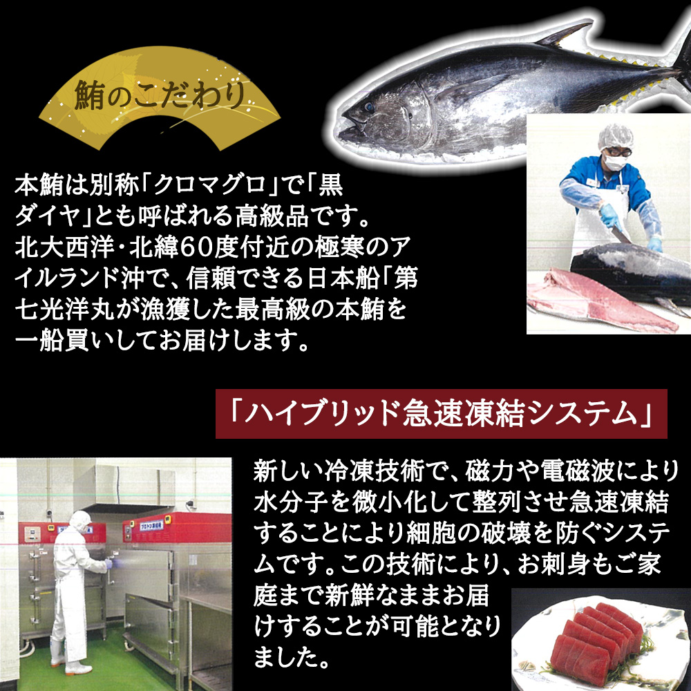 築地ホクエイ 刺身重一段