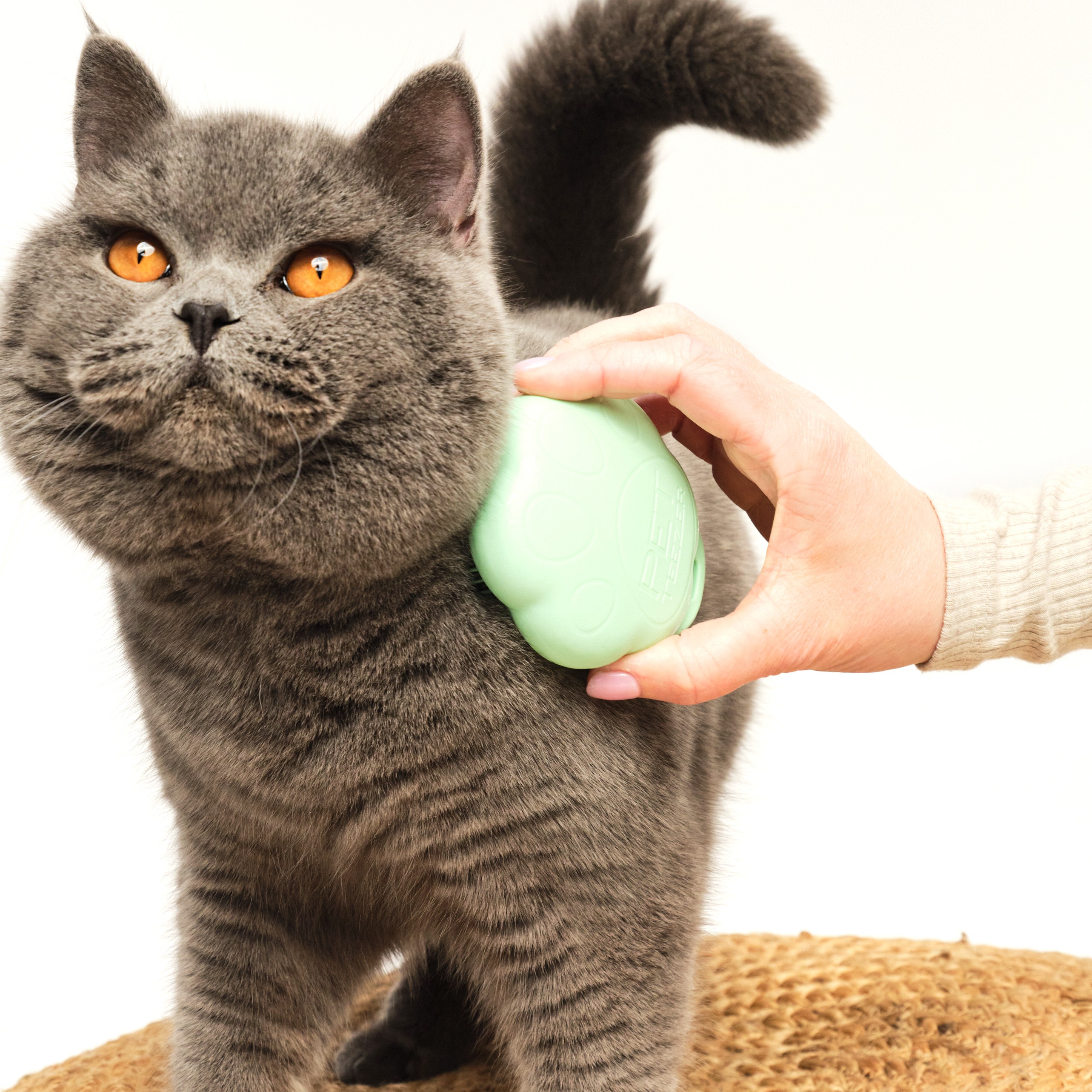 タングルティーザー　ペットティーザー　キャット