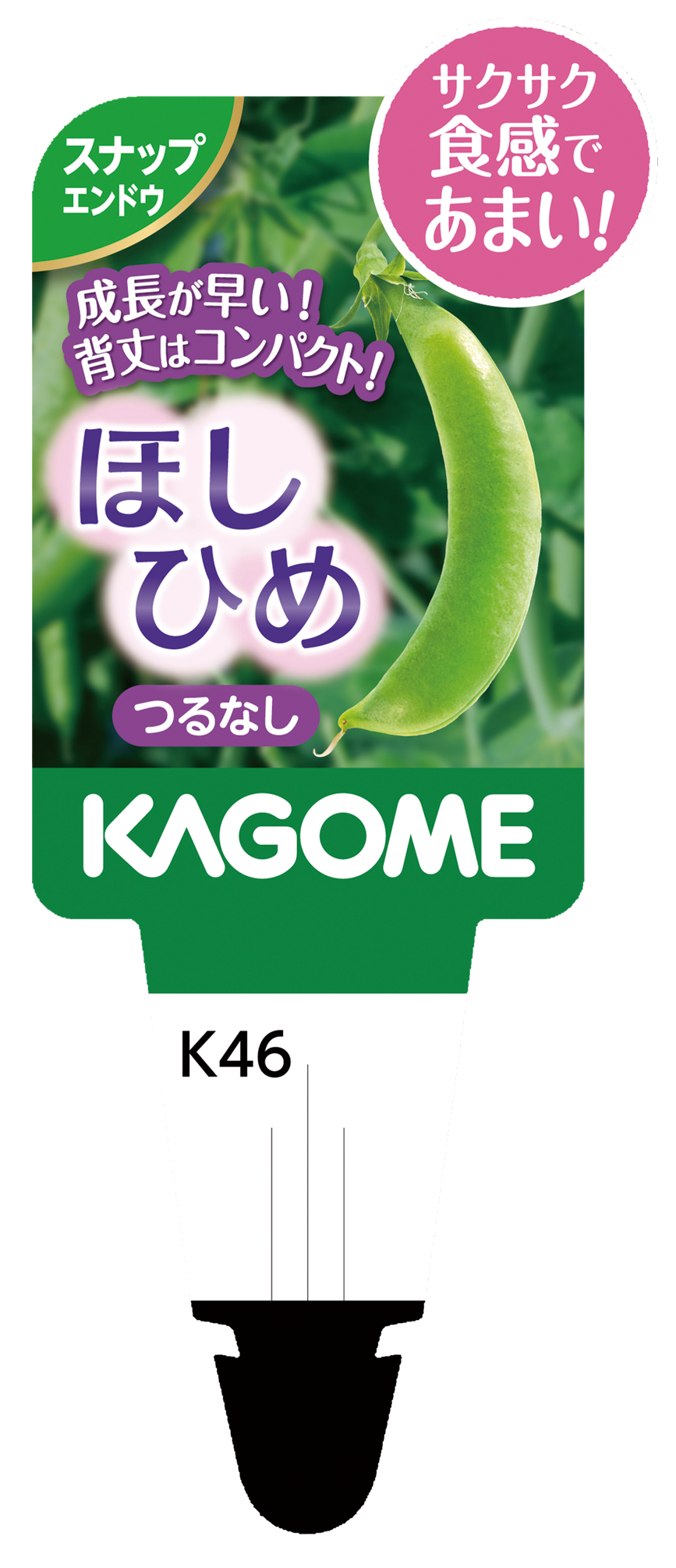 【予約販売】KAGOME 野菜苗 スナップエンドウ ほしひめ 9㎝ポット