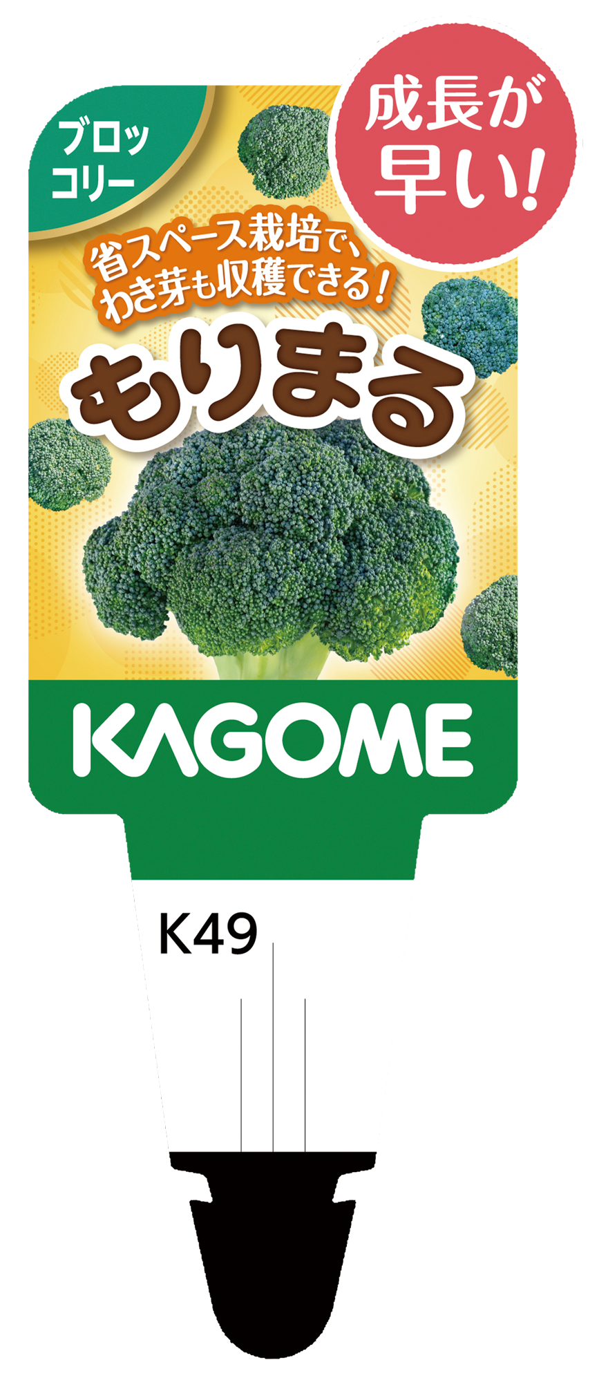 【予約販売】KAGOME 野菜苗 ブロッコリー もりまる 9㎝ポット