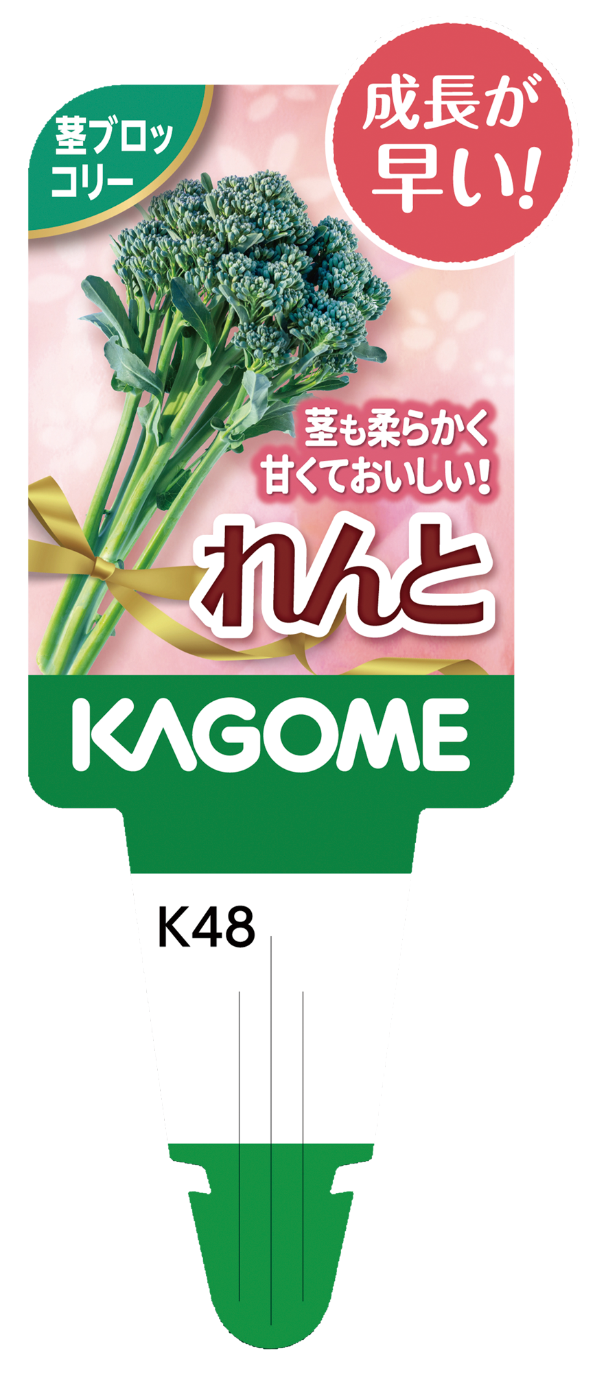 【予約販売】KAGOME 野菜苗 茎ブロッコリー れんと 9㎝ポット