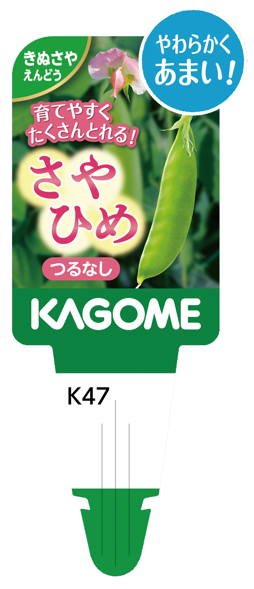 【予約販売】KAGOME 野菜苗 さやえんどう さやひめ 9㎝ポット