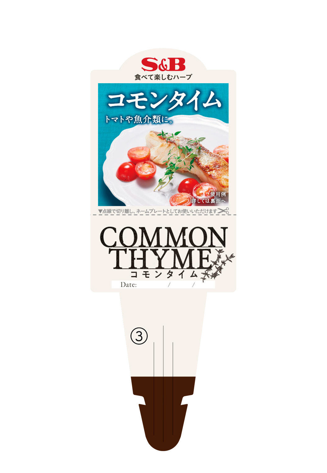 【予約販売】S&B食品 コモンタイム 9㎝ポット