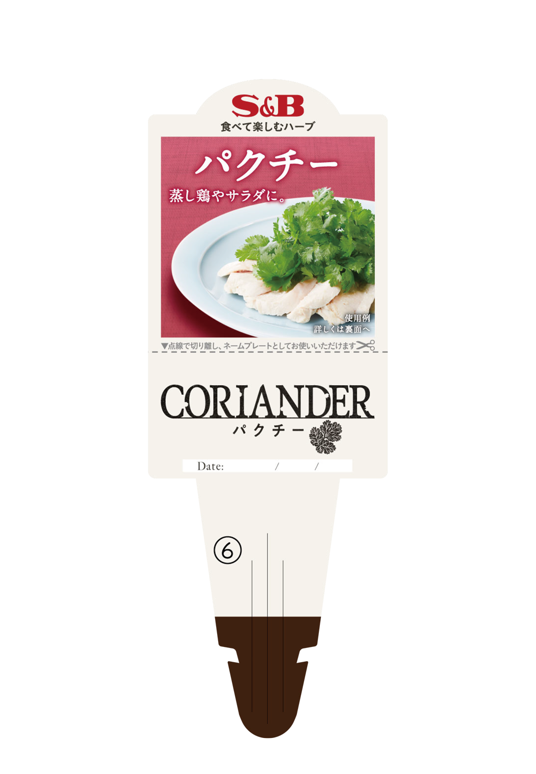 【予約販売】S&B食品 パクチー 9㎝ポット