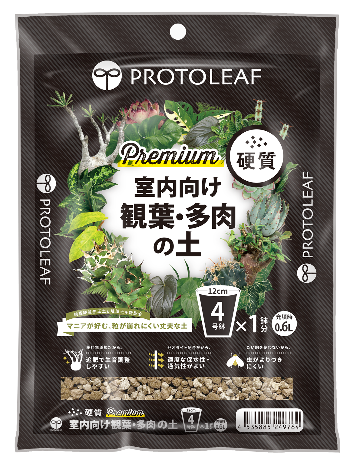 Top【選抜株】多肉植物　363002グリーンドラゴン　80個　鉢無し/脱土 観葉植物 | プロトリーフ BtoBオンライン