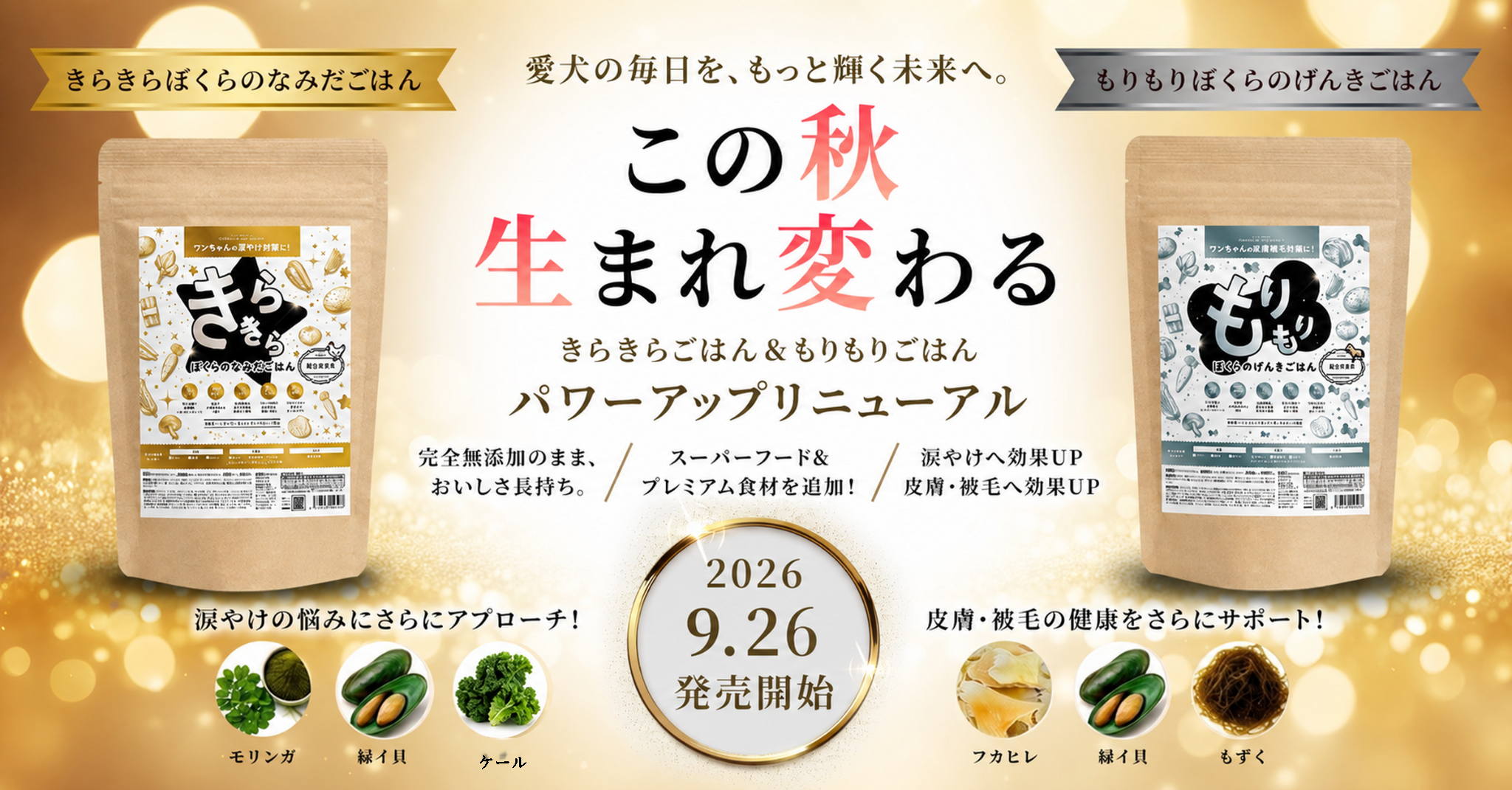 この秋生まれ変わる きらきらぼくらのなみだごはん もりもりぼくらのげんきごはん