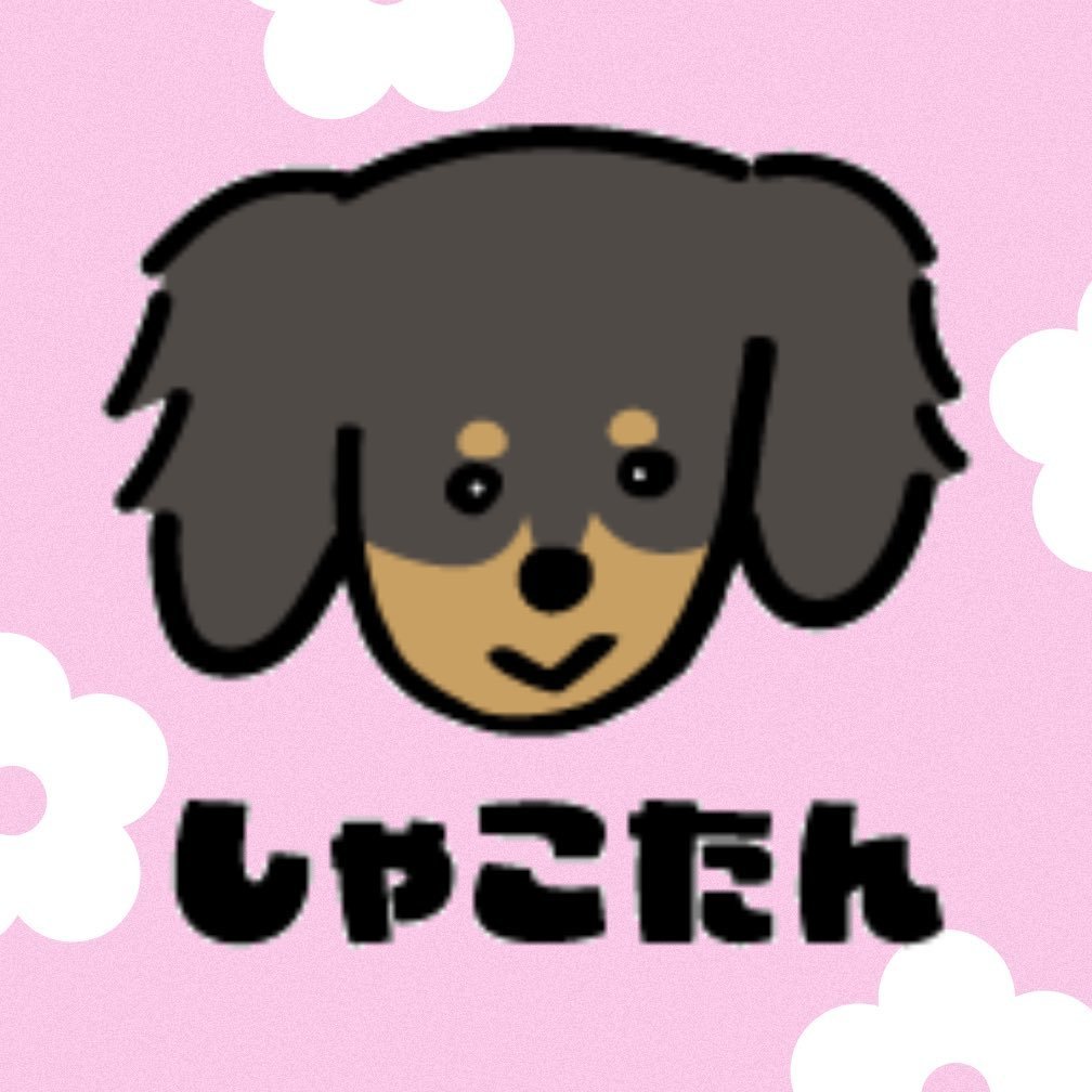 しゃこたん部長