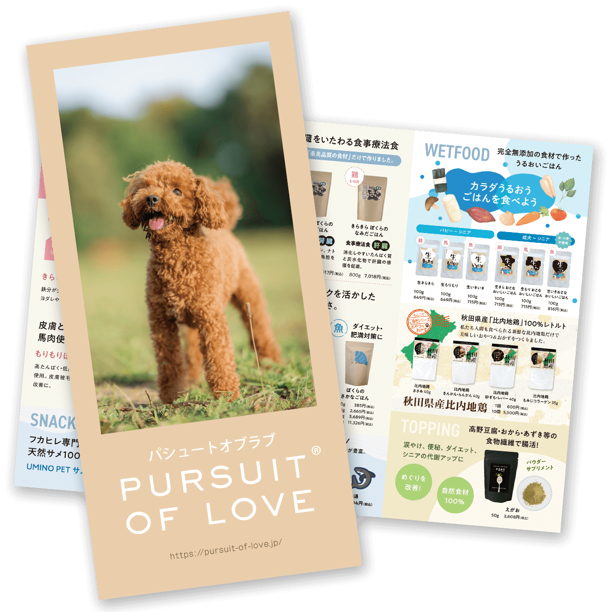 オリジナル商品リーフレット