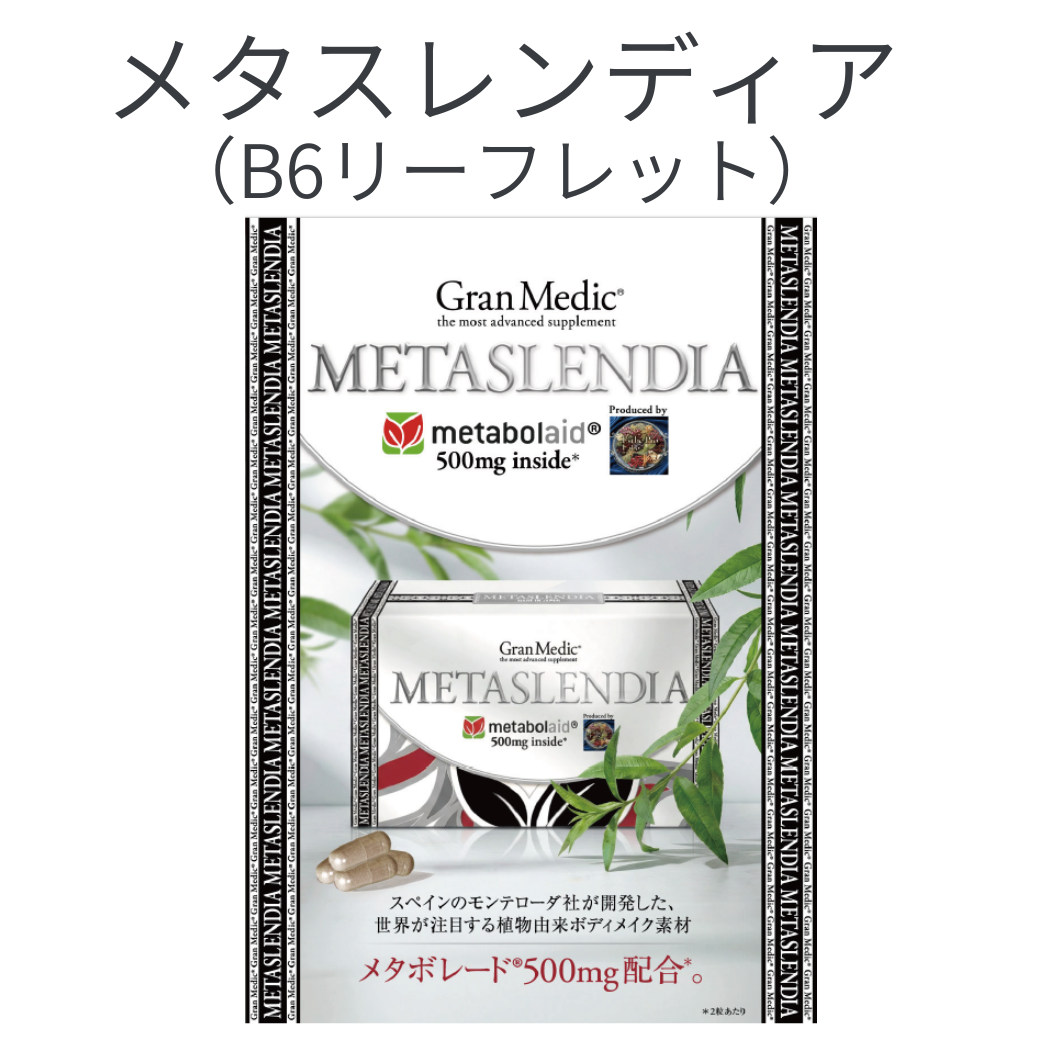 メタスレンディア (B6リーフレット)