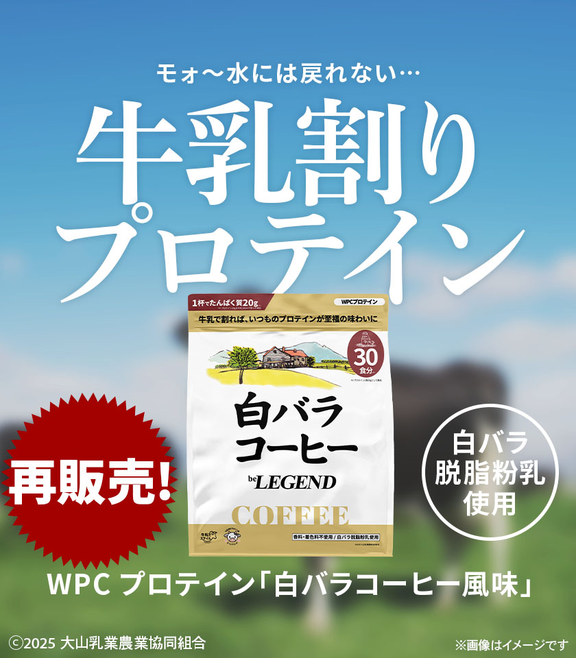 白バラ