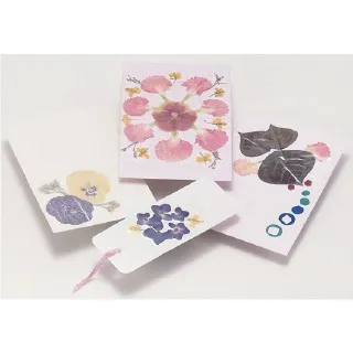 押し花セット