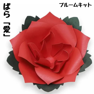 貼るだけブルームキット【秋冬の花グループ】