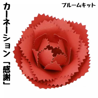 貼るだけブルームキット【春夏の花グループ】