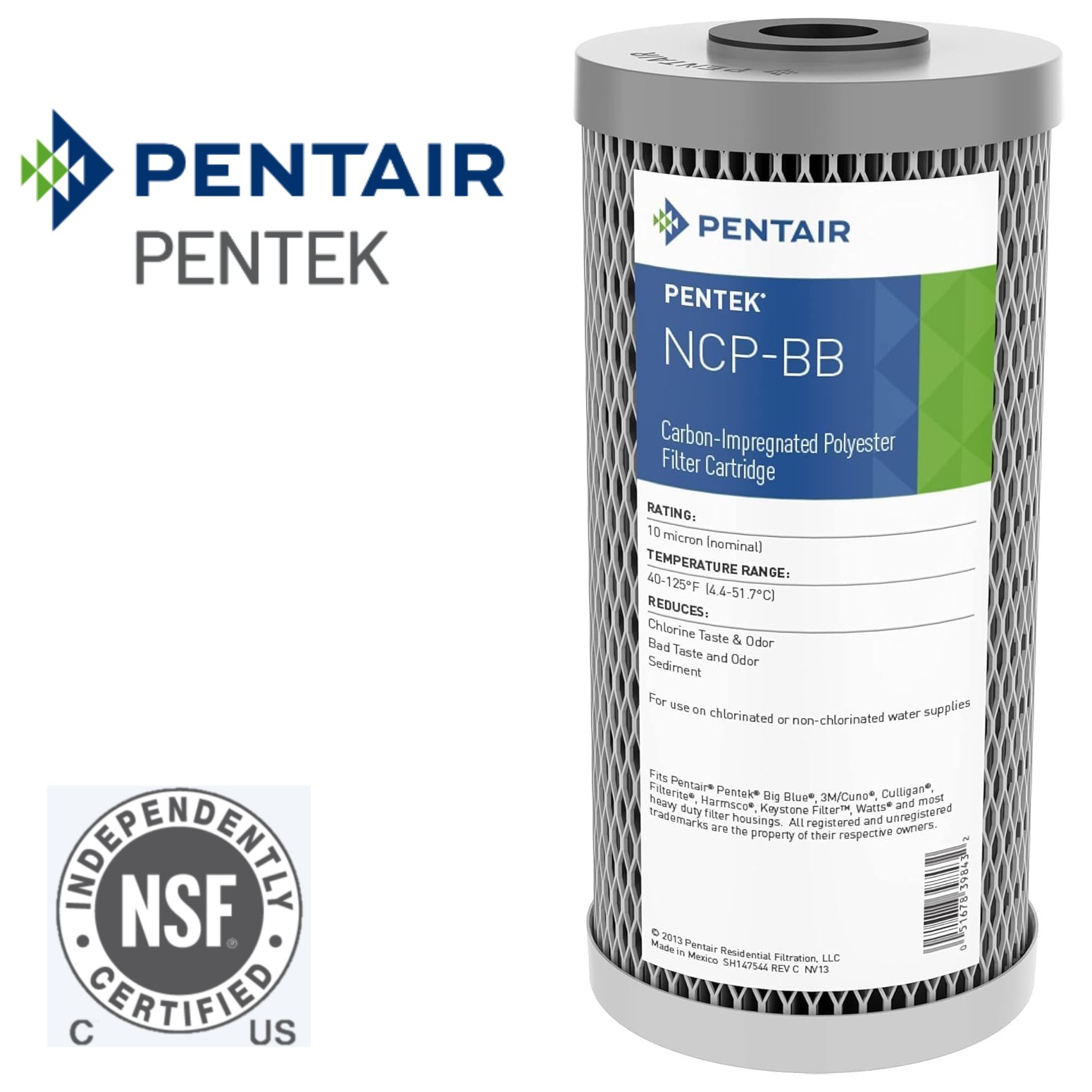 10"BB ｶｰﾎﾞﾝﾌﾟﾘｰﾂ Pentair