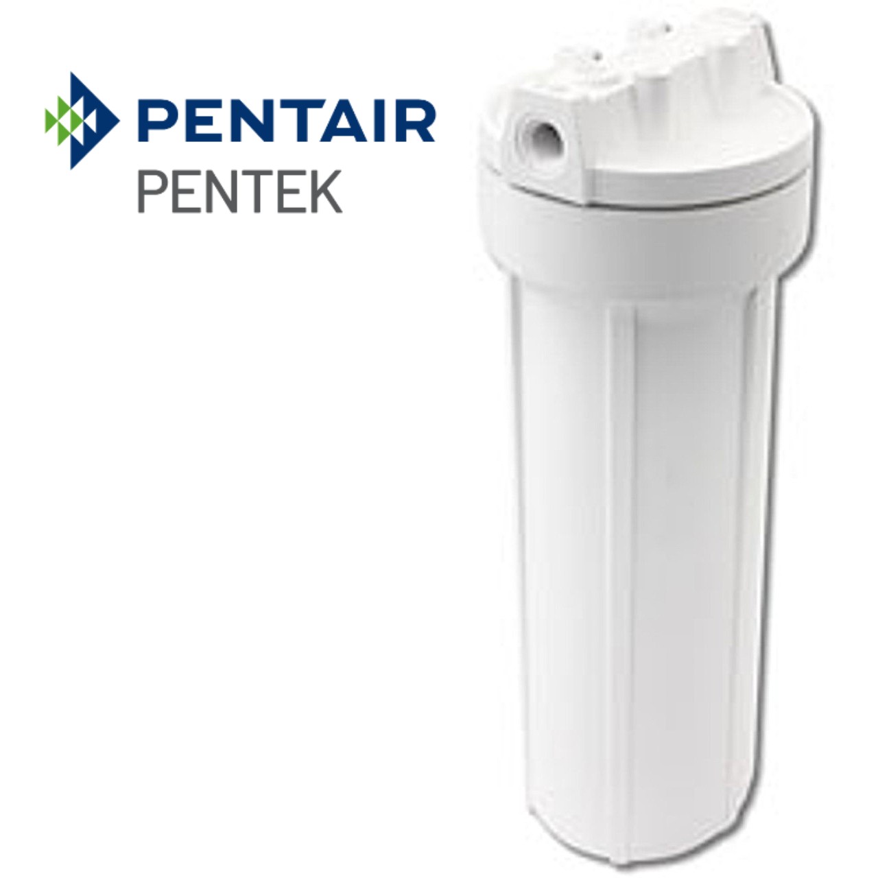 10" ﾊｳｼﾞﾝｸﾞ Pentair